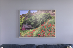 Poppies on the Hillside