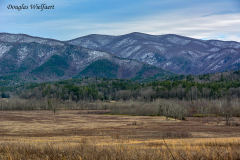 Cades Cove Scenic Vista