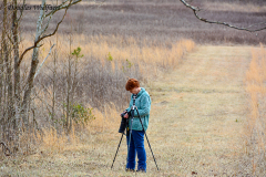 Cades Cove Marcy