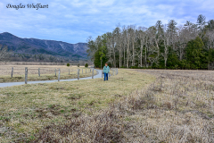 Cades Cove Marcy Near Dan Lawson Place