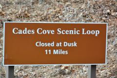 Cades Cove Entrance Sign