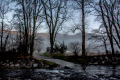 CC_20160101_01