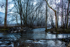 CC_20160101_04