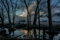 CC_20160101_07