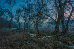 CC_20160101_11