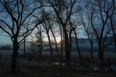 CC_20160101_14