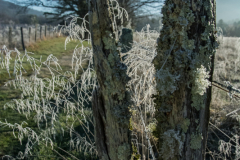 CC_20160101_16
