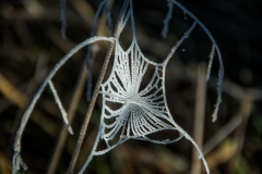 CC_20160101_17