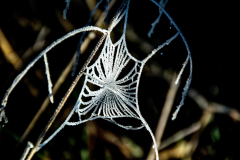 CC_20160101_18