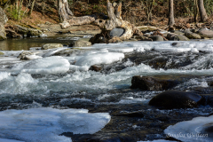 Frozen Laurel Creek