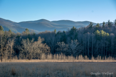 Cades Cove Vista