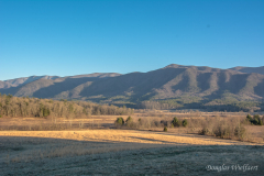 Cades Cove Loop Vista