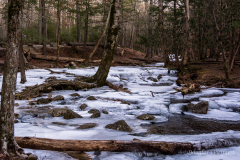 Abrams Creek in Cades Cove Campground