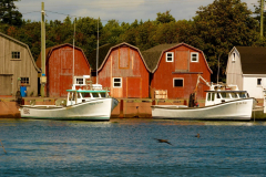 Malpeque Harbour, PEI