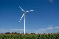North Cape Wind Energy