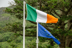 Irish Flag