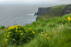 Cliffs of Mohr