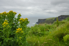 Cliffs of Mohr